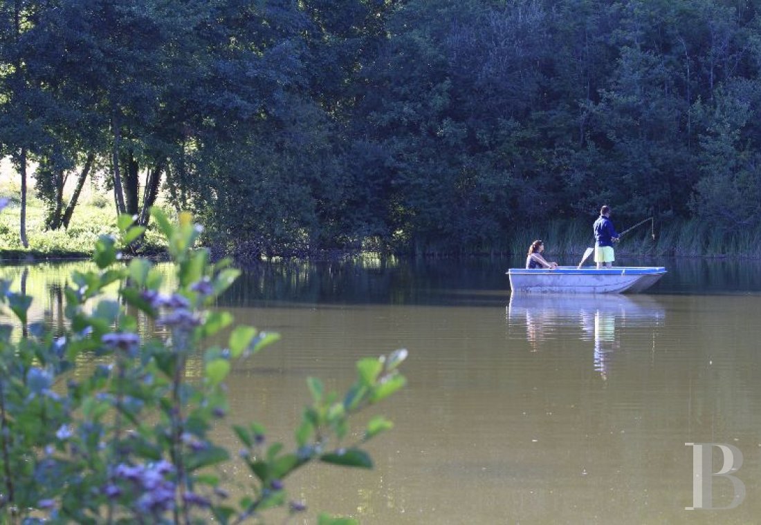 An estate dedicated to breeding Arabian thoroughbred horses near to Brantôme in the Dordogne - photo  n°32